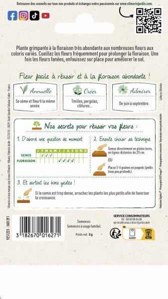 Fleurs - Pois de Senteur Spencer Varié - MEDIA_PACKAGING_VERSO